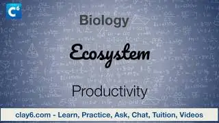 CBSE - Biology - Ecosystem - Productivity
