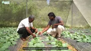 From Wild Animal Attacks to Safe Farming | Keonjhar Farmer&rsquo;s Kheyti Net House Success