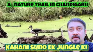 A nature trail in Chandigarh || Kahani suno ek jungle ki #viral # MERE HUMSAFAR