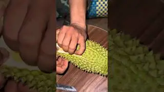 Sầu ri&ecirc;ng x&eacute;m bể nợ #saurieng #durian #shortsfeed #viralvideo #foryou #xuhuongyoutube #trending