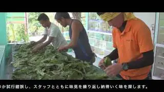 【桑郷】フィリピンマルベリープロジェクト2014～収穫・製茶～