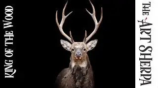 How to paint wildlife with Acrylic on Canvas Stag Head Live stream | TheArtSherpa