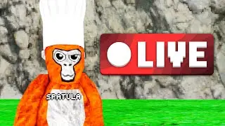 Gorilla Tag Live With Fans! 🔴| LIVE