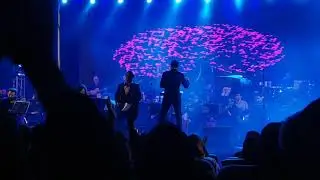 زائر مهدی یغمایی