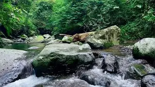 Quiet Stream Serenity - Relaxation and Calm | sleep - relax - enjoy life - ASMR
