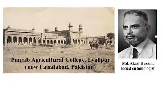 Amazing History of the Entomological Society of India