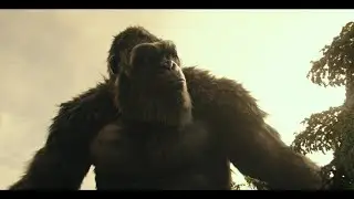 KONG'S  RAGE...