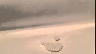 Walden's animation