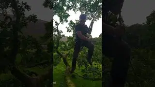 Arborist parkour. New climbing trousers out now. #arbortec #arborist #treeclimbing @mickarblife