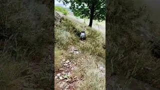 RC Crawler, Outrunner Motor, MST CFX-WS, Land Rover Discovery