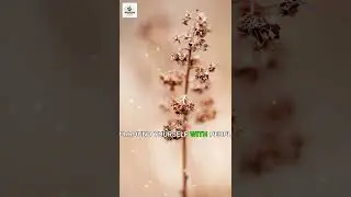 Flourish After 50: Gentle Life Rules to Bloom with Grace & Confidence &ndash; Bloomstride English