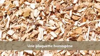 Le déchiquetage de bois par la Cuma CEPVIL en Mayenne