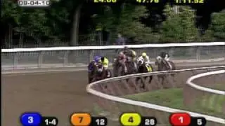 Quality Road - 2010 Woodward Stakes (G1)