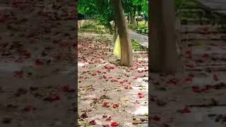 Lovely mosam 🤗 #lovelysong #youtubeshorts #viralvideo @oldisgold