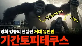 현실판 킹콩 '기간토피테쿠스' 인류 역사상 가장 거대했던 유인원의 충격적 정체