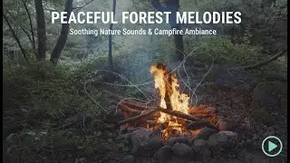 Peaceful Nature Music 🌿 Relaxing Ambient Sounds for Deep Relaxation & Stress Relief