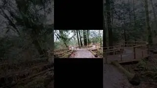 #Saturday                                                          Godwin farm park, Surrey
