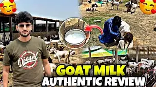 First Time Trying Fresh Goat Milk | Bakri Ka Doodh Kesa hota hai ? Authentic honest review 