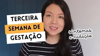 Terceira Semana de Gravidez | Nida&ccedil;&atilde;o, Sintomas de Gravidez e Quando Fazer o Teste de Gravidez