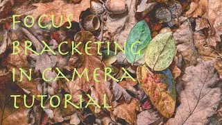 How to Use the Focus Stacking Feature on your Camera | Fujifilm | Helicon Focus