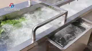 340KG Multifunctional Vegetable Washing Machine Continuous Type