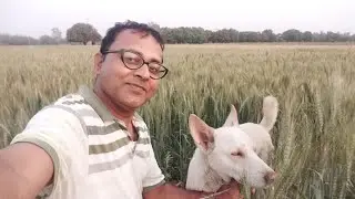 चौपाल इंडिया लाइव है!