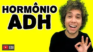 HORMÔNIO ADH - VASOPRESSINA  - Aula de BIOLOGIA│ Prof. Patrick Gomes