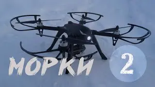 Аэросъемка - Морки #2