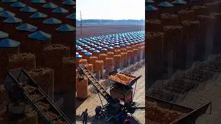 Largest turmeric processing factory in the world