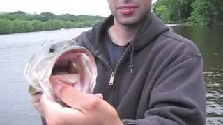 KeeP ReeLing's 2012 Big Fish