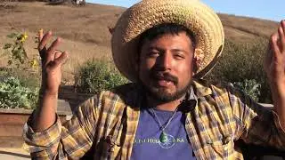 Queer Gardening: Experiences and Viewpoints - Edgar Xochitl