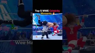 Top 5 WWE Celebrity Moments #wwe