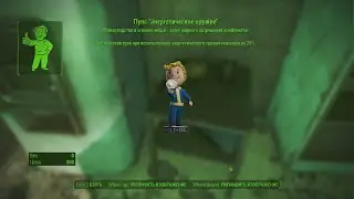 Fallout 4 | Пупс - 