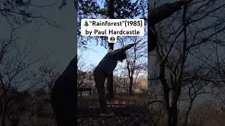 🌲&ldquo;Rainforest&rdquo;(1985) by Paul Hardcastle ❷