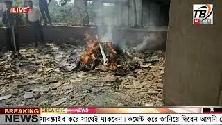 This is Ajker khobor 14 Nov 2025 | Bangladesh latest news | somoy news | banglavision | bdnews24