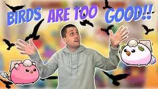 ПТИЦЫ РАЗРУШАЮТ АРЕНУ! | АКСИ БЕСКОНЕЧНОСТЬ