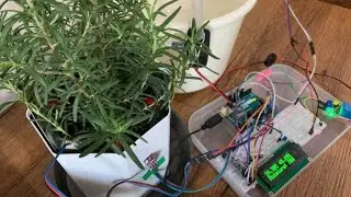 Automatically water your plants based on moisture of soil | DIY | Electronics project for BEGINNERS