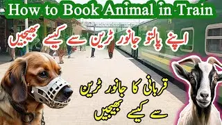Booking a Dog and Goat in Train Ticket Pakistan Railway