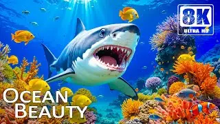 RELAXING AQUARIUM 8K 🎶 Crystal Blue Ocean, Graceful Jellyfish & Calm Marine Life
