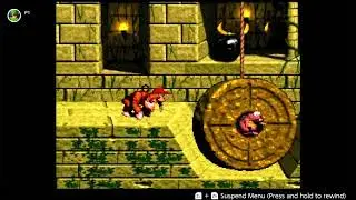 Donkey Kong Country:  Temple Tempest