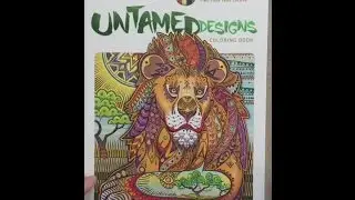 Creative Haven Untamed Designs flip through