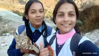 स्कूल जाते समय मिली बिल्ली..🤭♥🐱