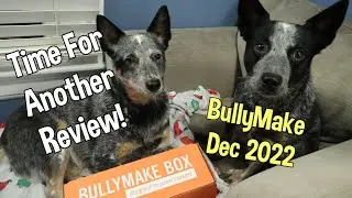 BullyMake Unboxing & Review ~ December 2022 Box ~