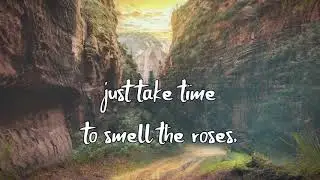 Inspirational life quotee