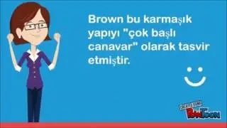öz-düzenleme