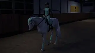 Thunder's first time wearing a saddle |Thunder's Journey|