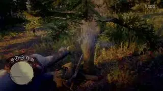 March and iden tree crash