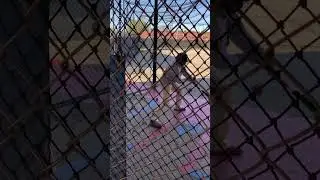 Russian chess master tries baseball for the first time