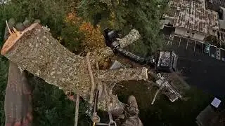 Dead 120&rsquo; Fir Tree Removal for VFW Post 15