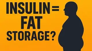 How Insulin Controls Your Weight &mdash; The Hidden Truth About Fat Burning